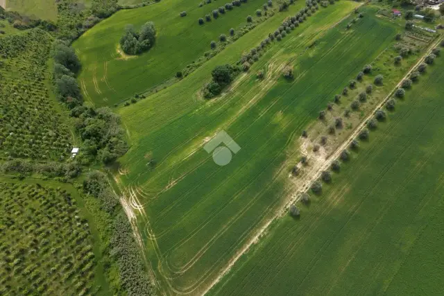 insertion image
