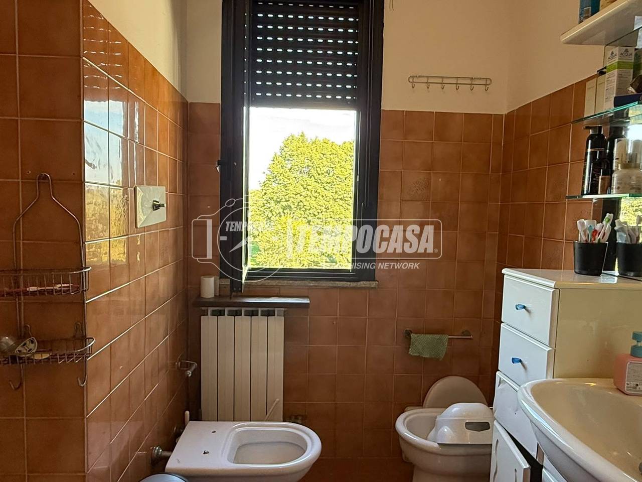 immagine annuncio 7 di 12