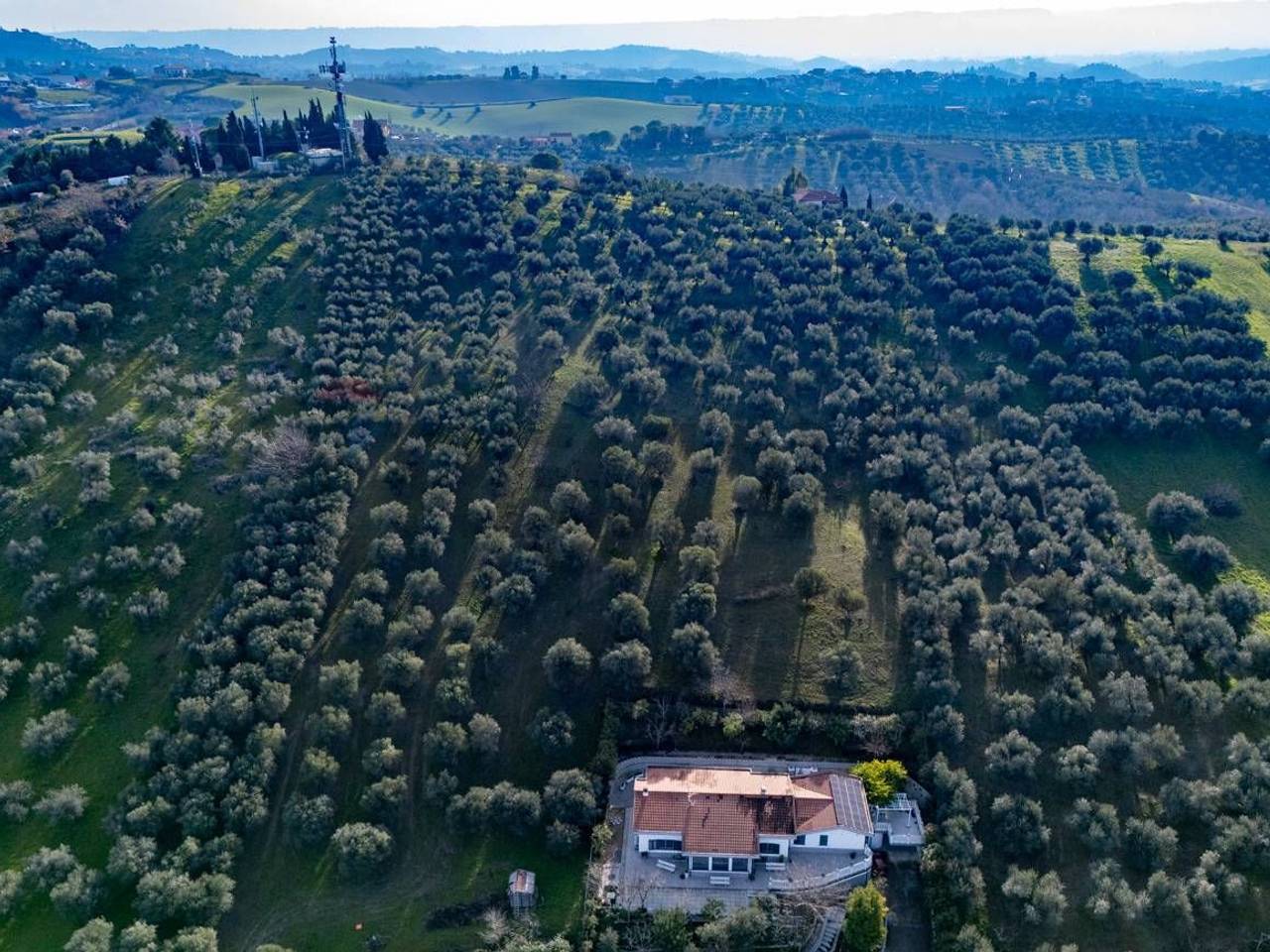 immagine annuncio 3 di 8