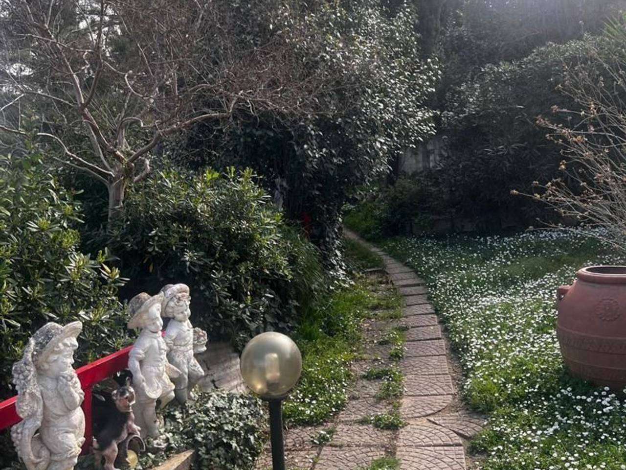 immagine annuncio 9 di 15