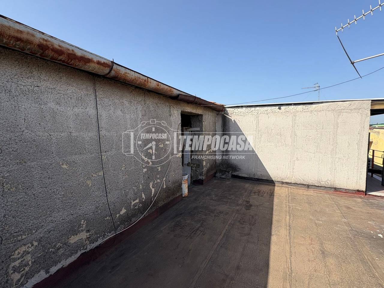 immagine annuncio 12 di 14