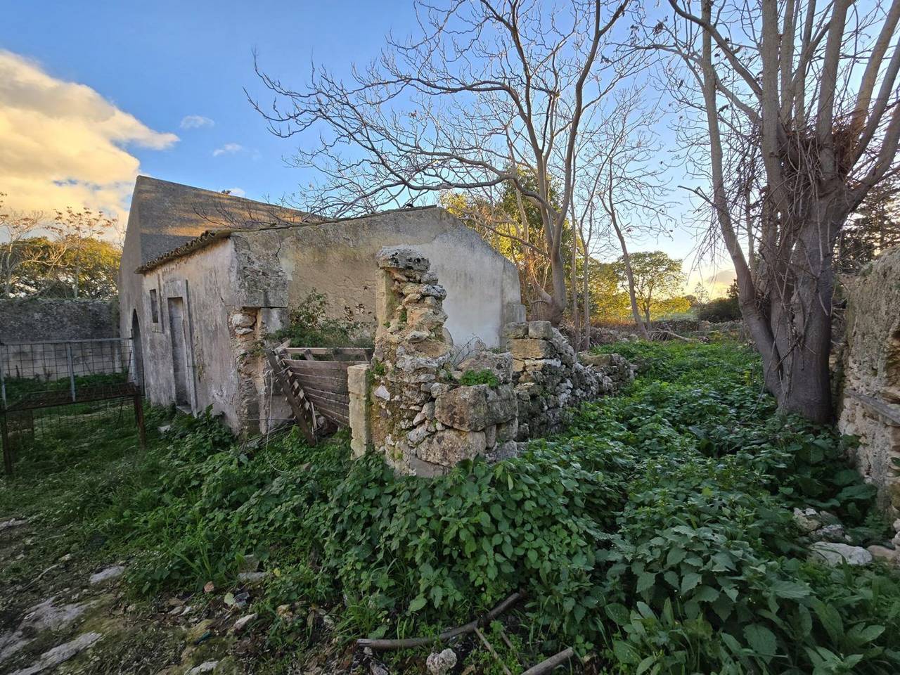 immagine annuncio 2 di 11