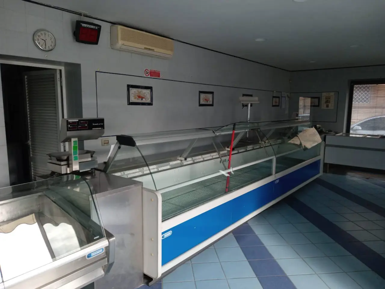 Esercizio commerciale in Viareggio, Viareggio, {3} - Foto 1