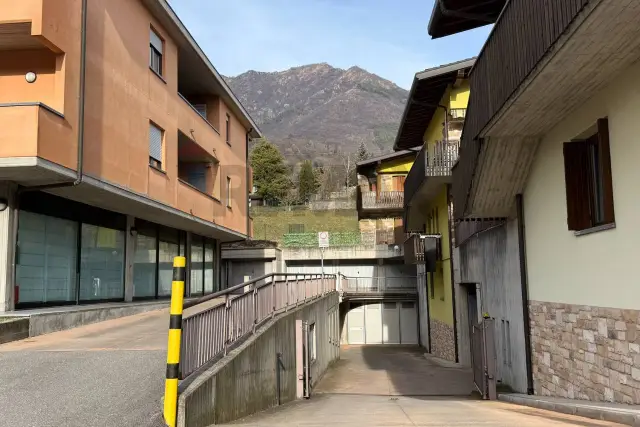 insertion image