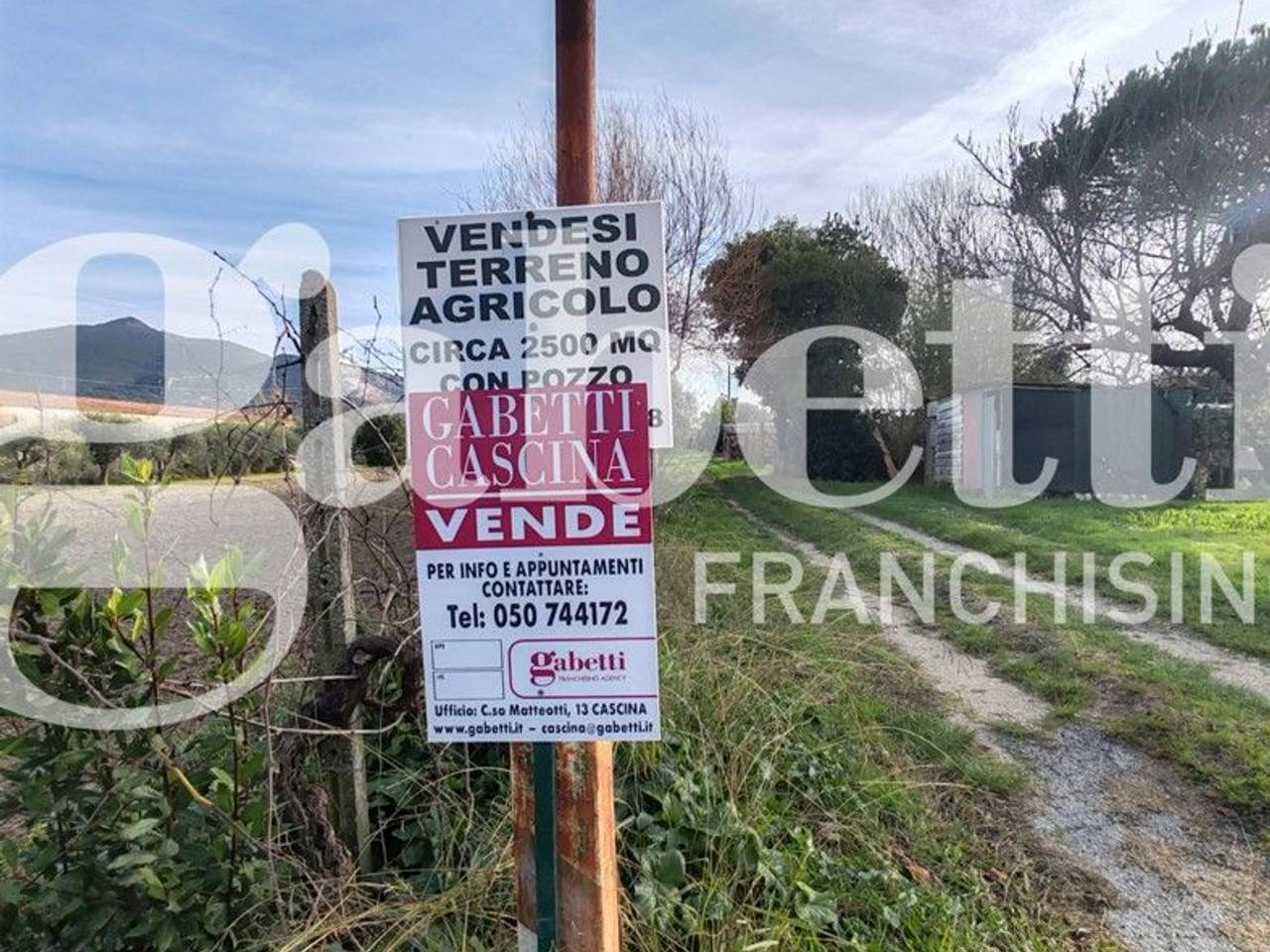 immagine annuncio 4 di 5