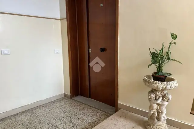 insertion image