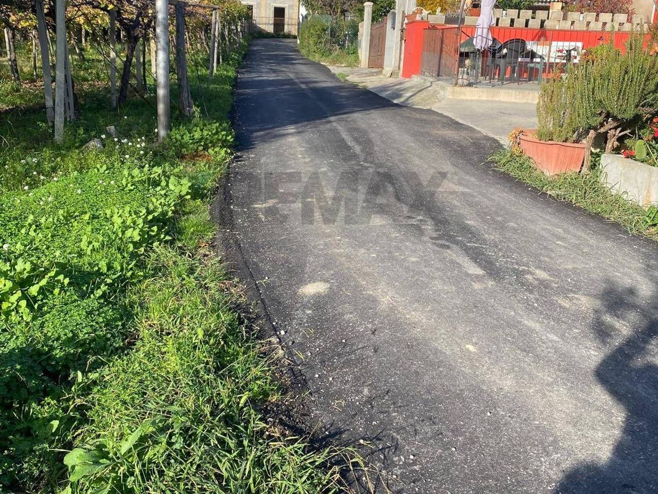 immagine annuncio 4 di 6