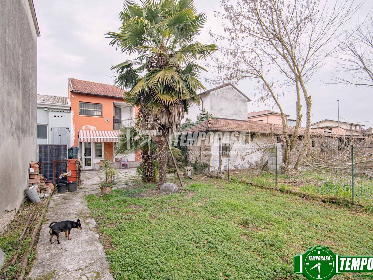 immagine annuncio 1 di 15