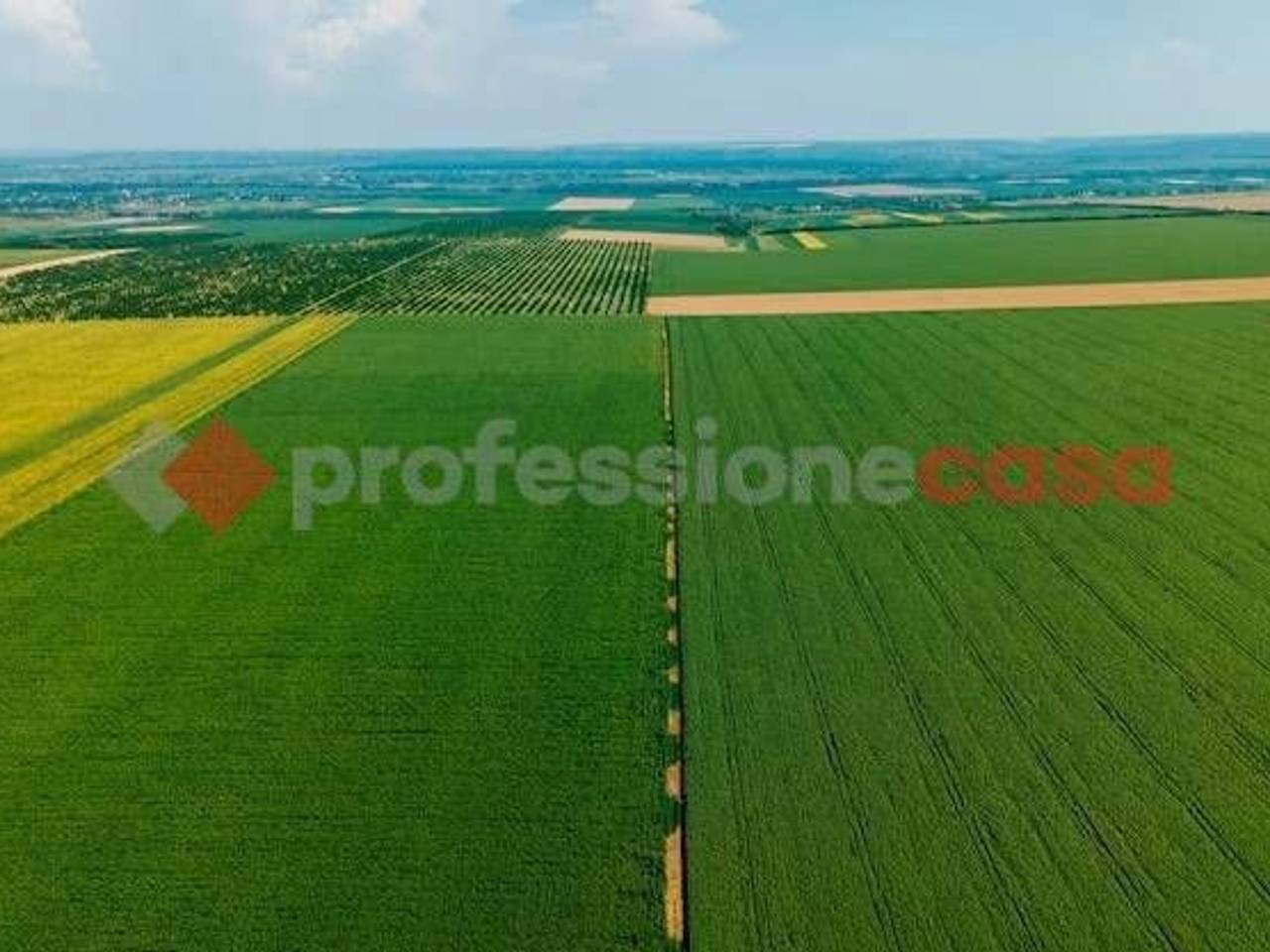 immagine annuncio 4 di 9