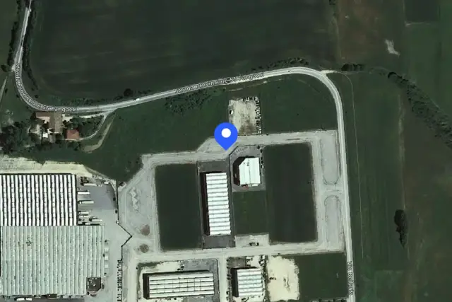 insertion image
