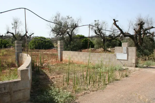 Terreno agricolo in Via Monte Bianco, Ugento - Foto 1