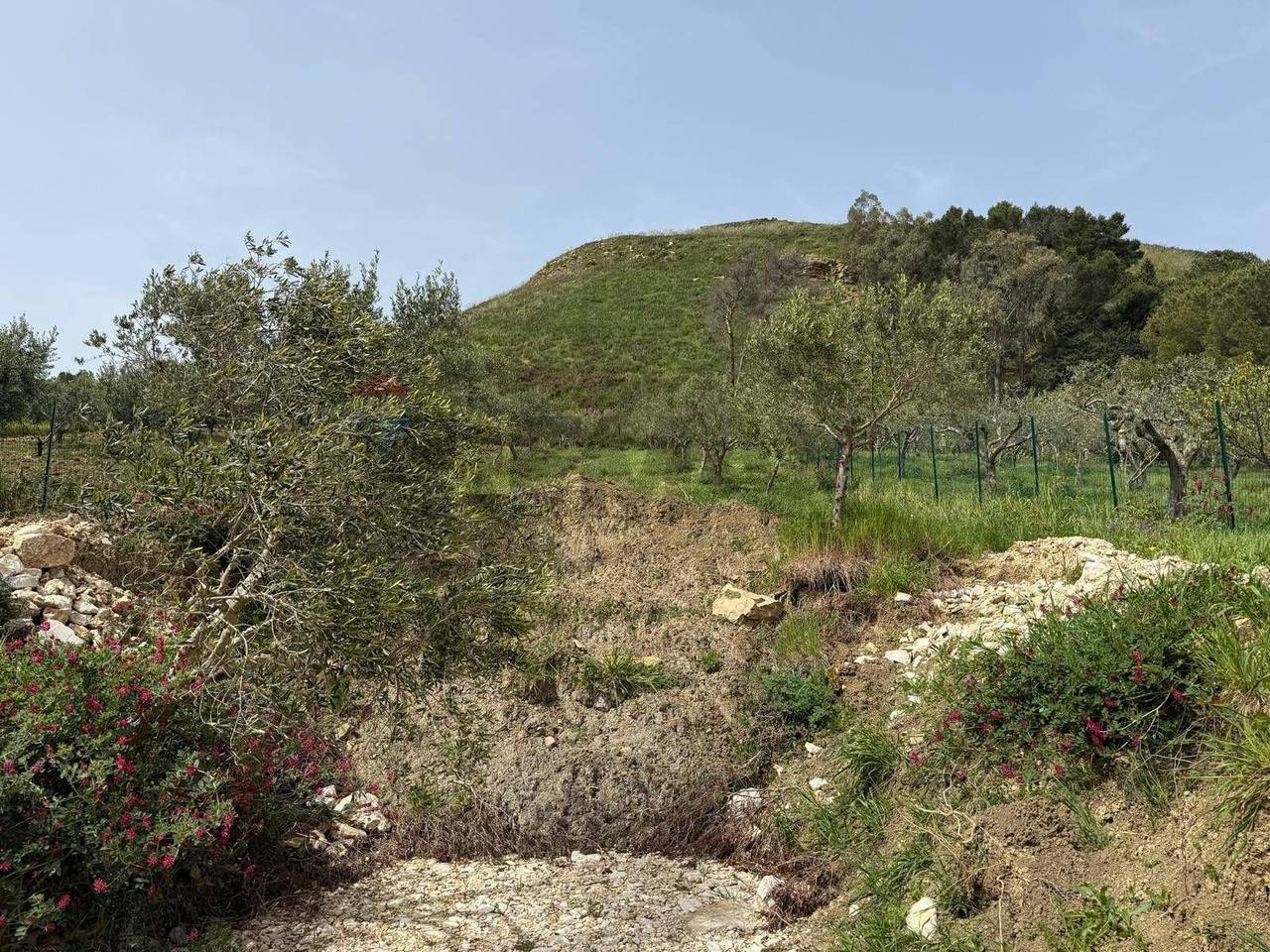 immagine annuncio 6 di 8