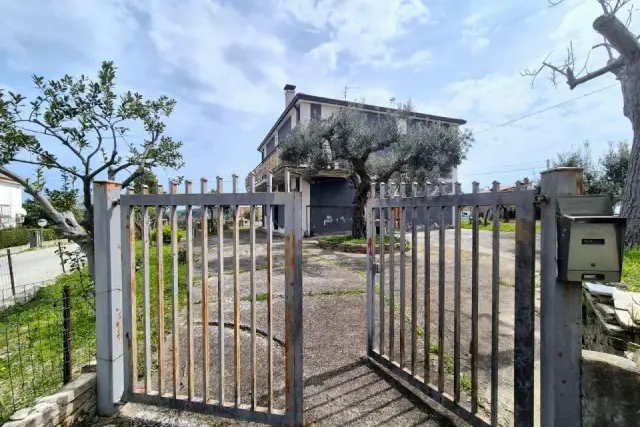 insertion image