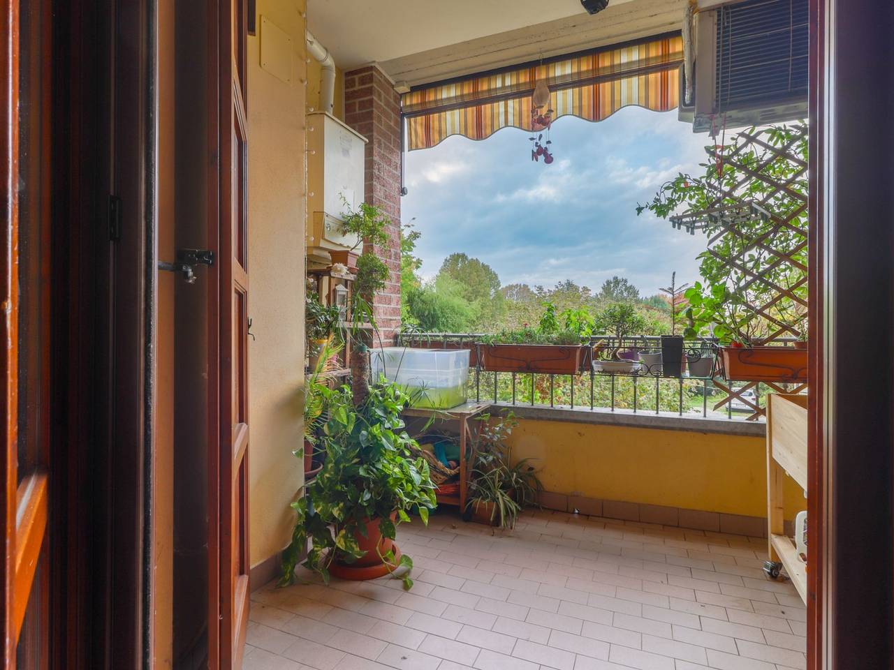 immagine annuncio 11 di 15