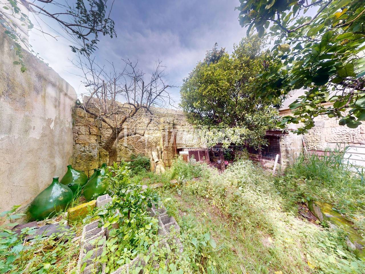 immagine annuncio 11 di 14