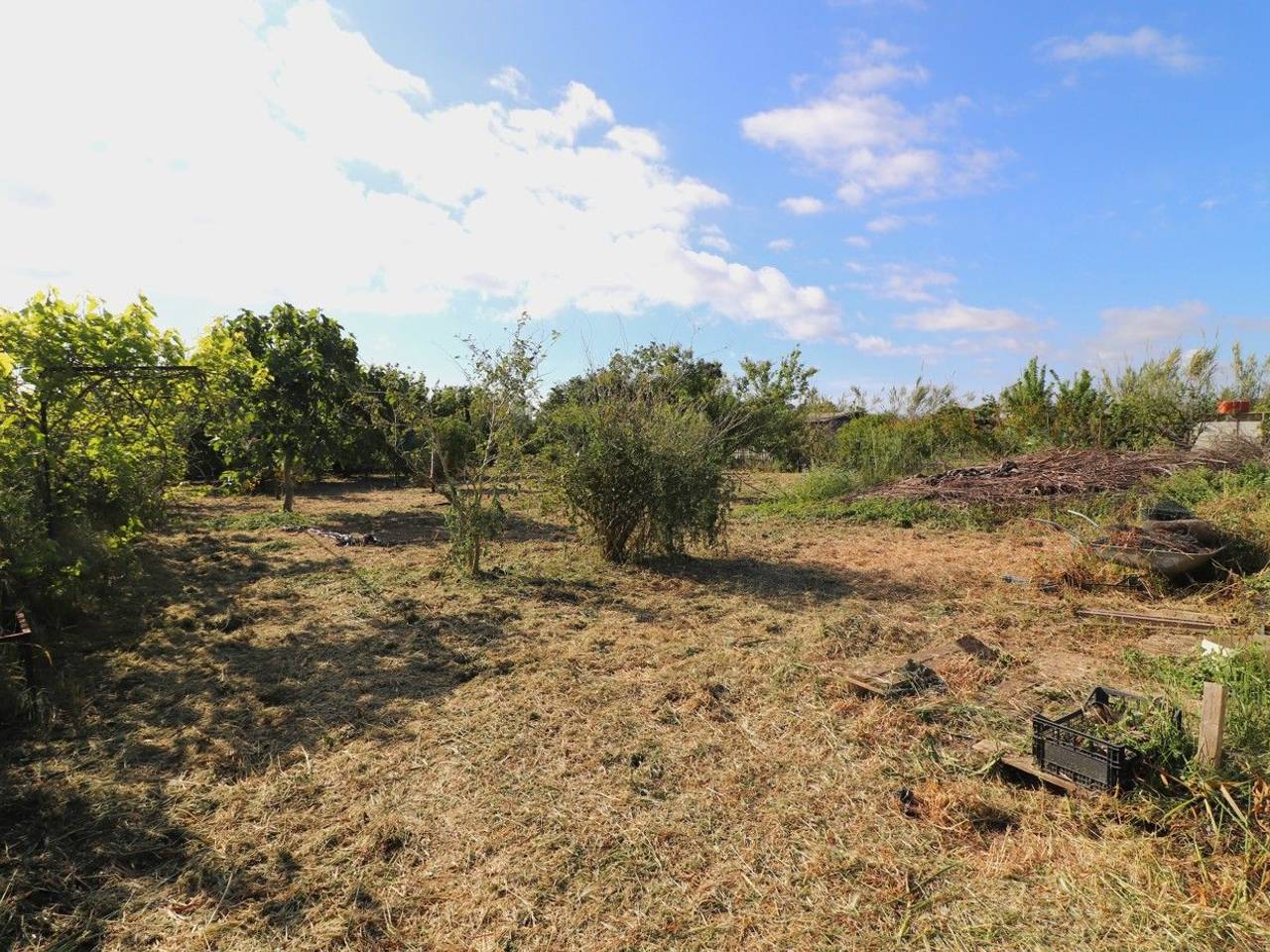 immagine annuncio 2 di 9