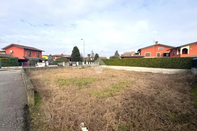 insertion image