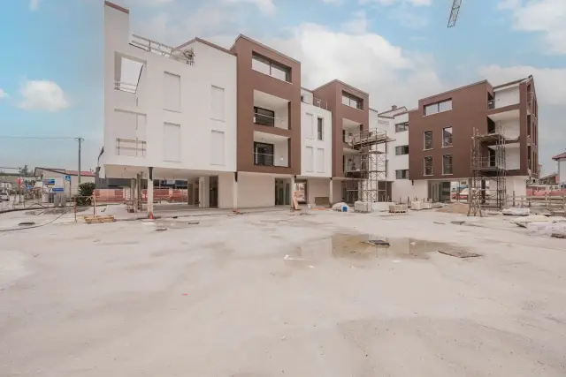 insertion image