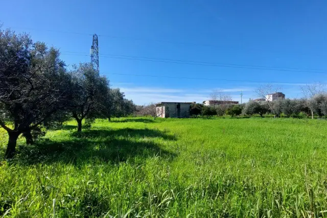 Agrargrundstück in Via Alessandro Volta, Eboli - Foto 1