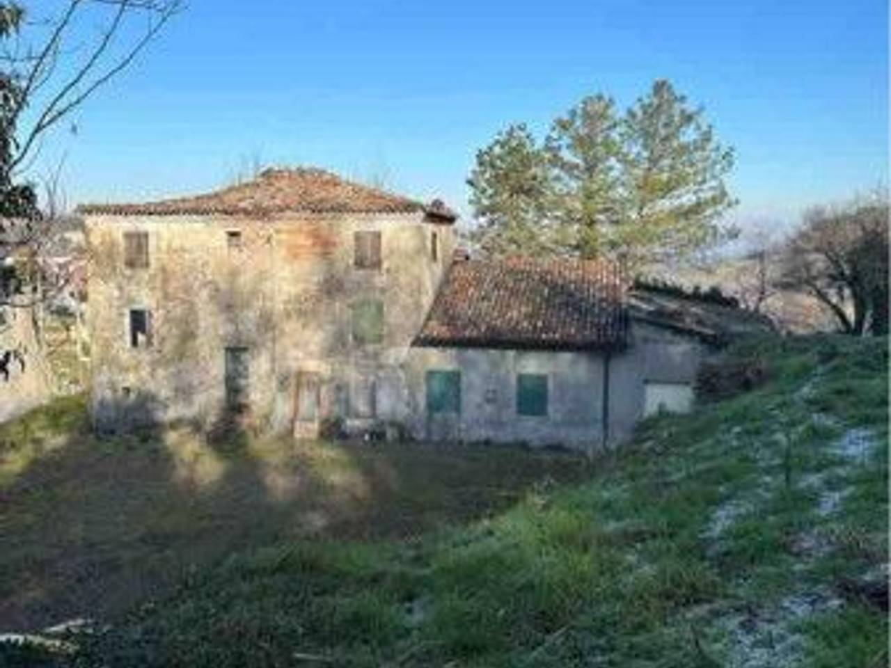 immagine annuncio 5 di 15
