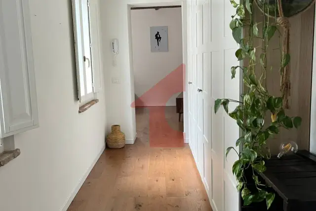 insertion image