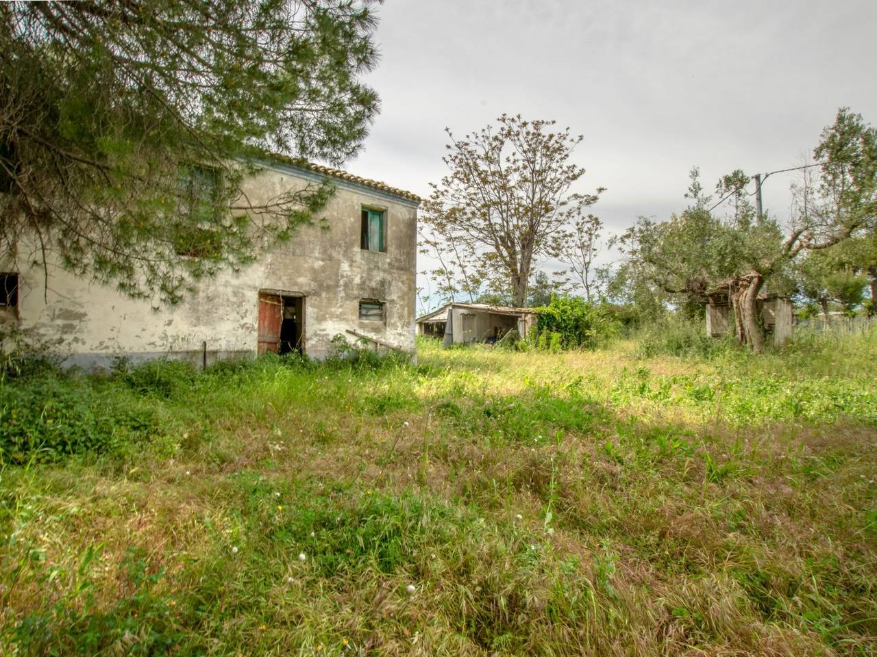 immagine annuncio 6 di 15