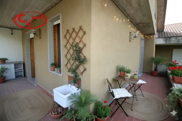 insertion image