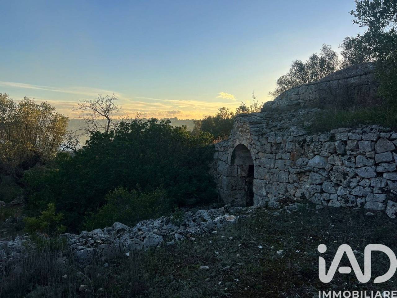 immagine annuncio 9 di 11