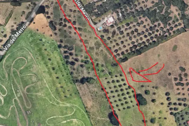 insertion image