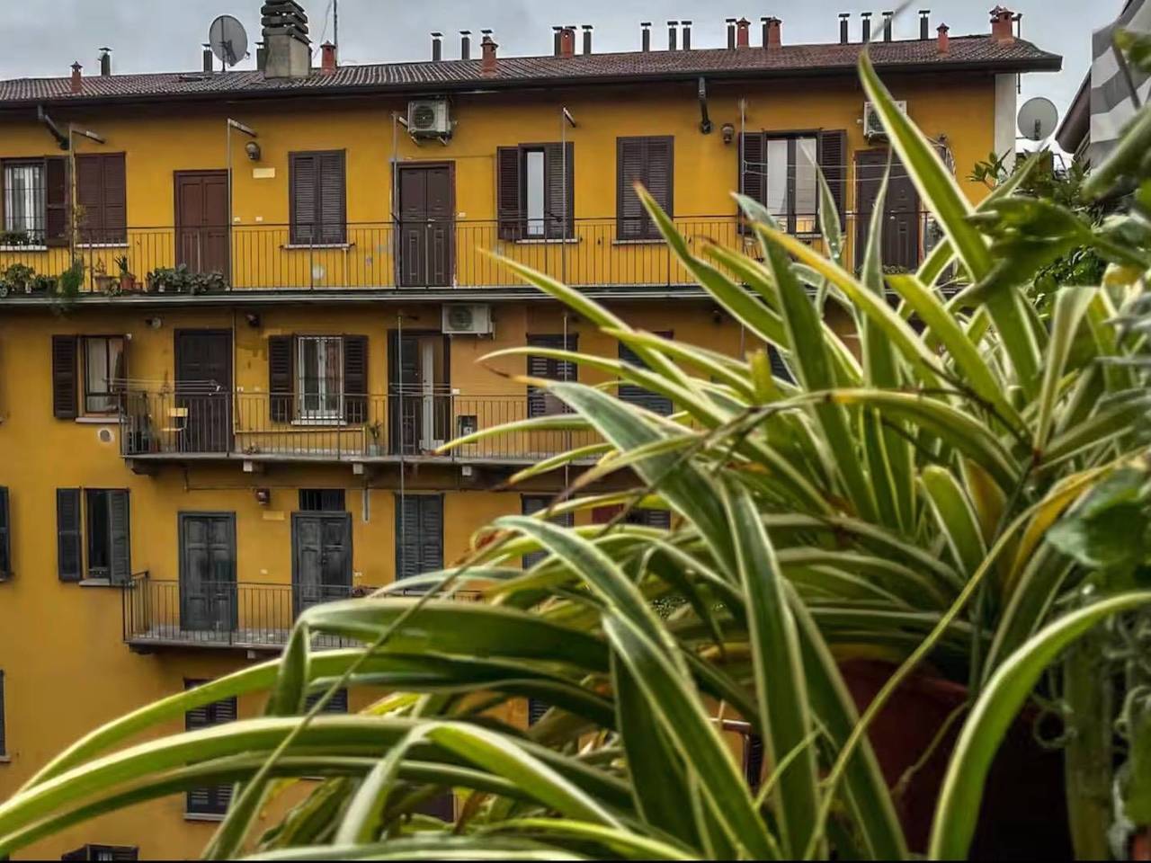 immagine annuncio 10 di 11