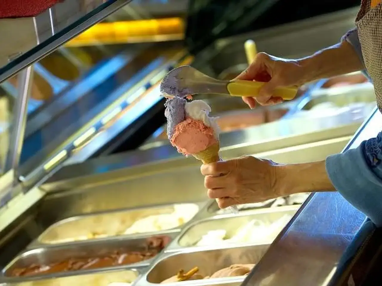 Gelateria in Strada Nova, Venezia, {3} - Foto 2