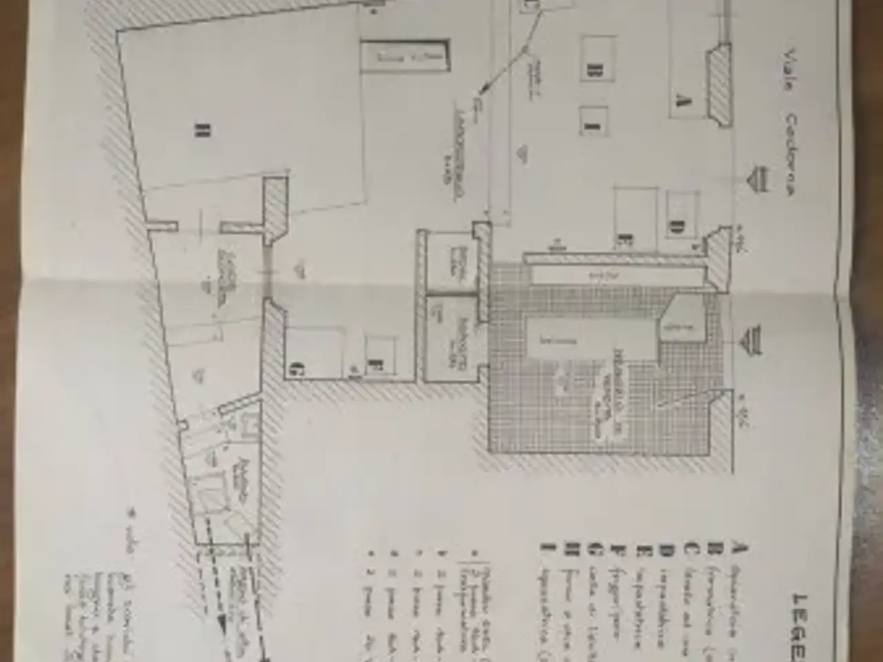 Negozio in Viale dei Cadorna, Firenze, {3} - Planimetria 1
