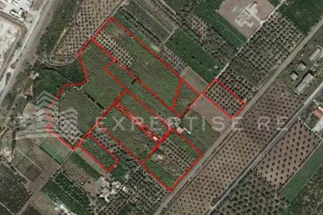 insertion image
