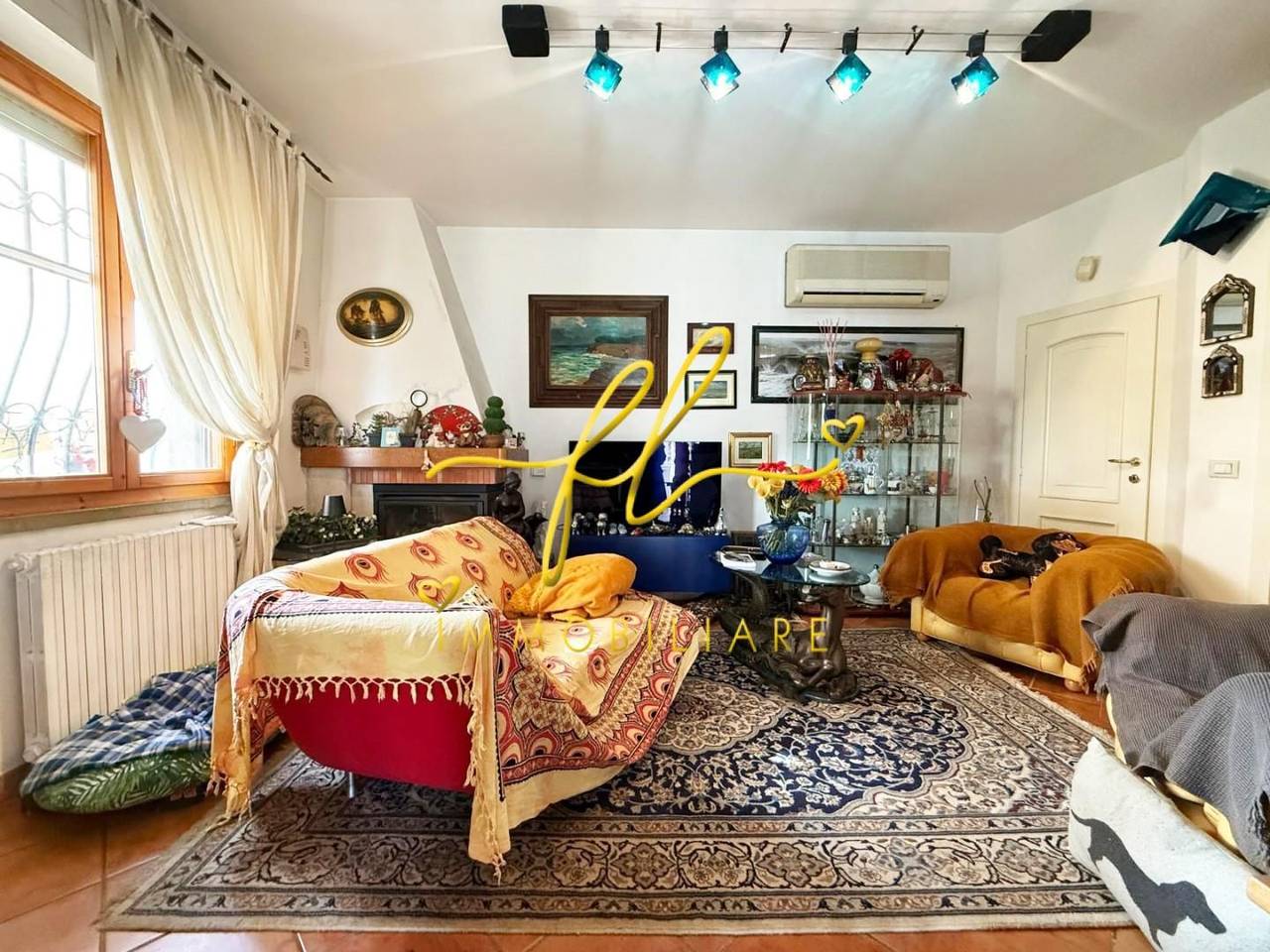 immagine annuncio 12 di 15