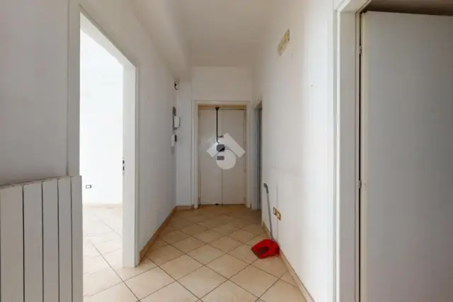 insertion image