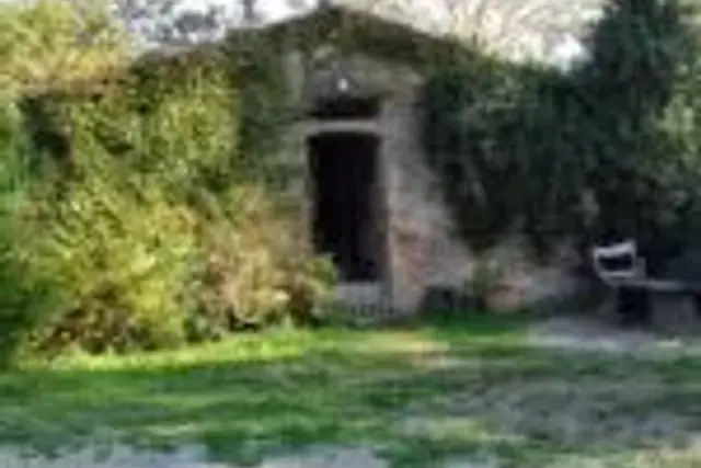 insertion image