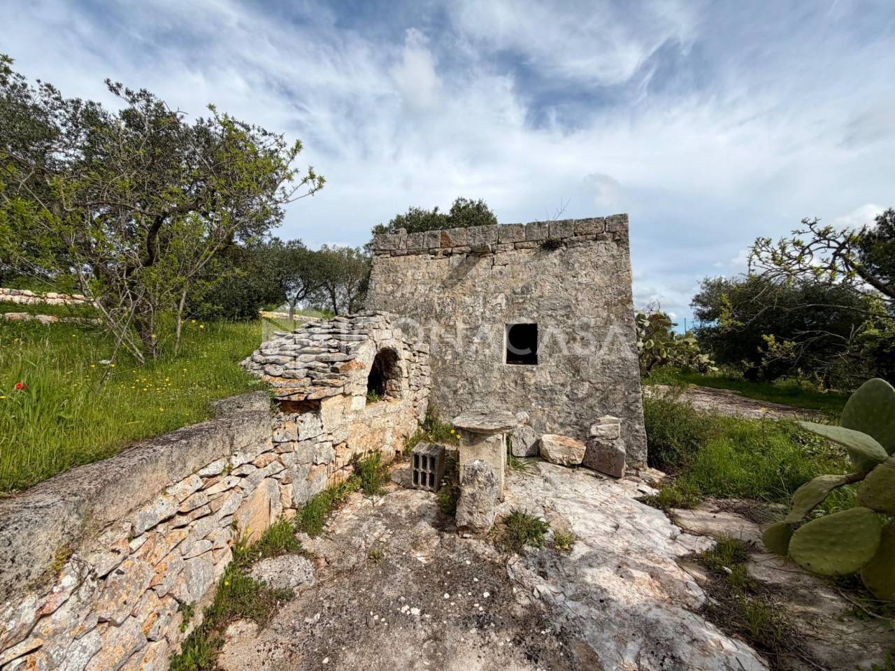 immagine annuncio 5 di 11