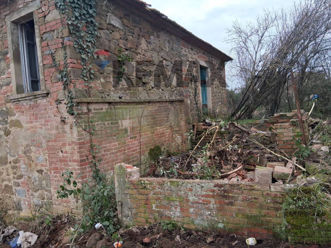 immagine annuncio 3 di 6