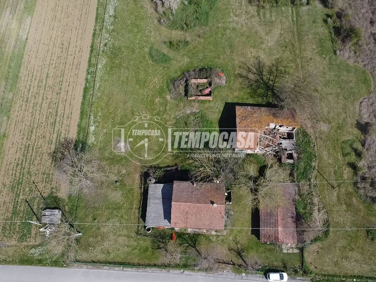 immagine annuncio 4 di 12