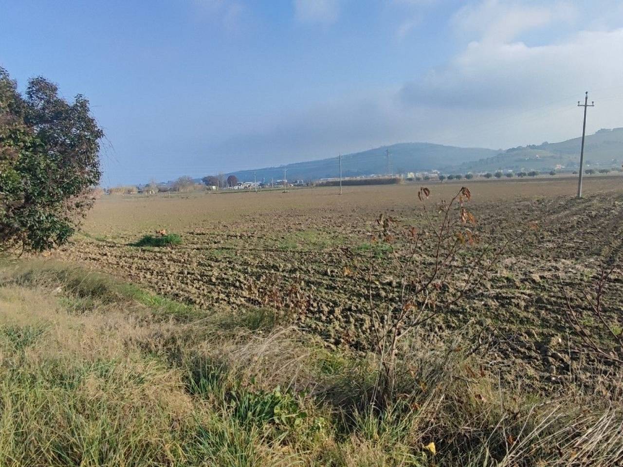 immagine annuncio 12 di 14