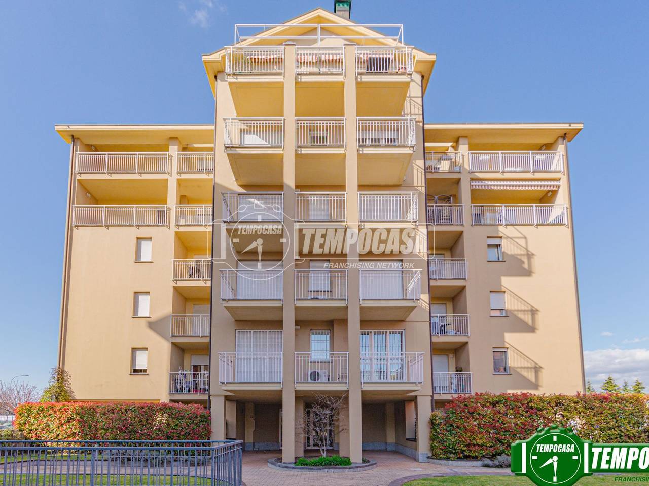 immagine annuncio 1 di 11