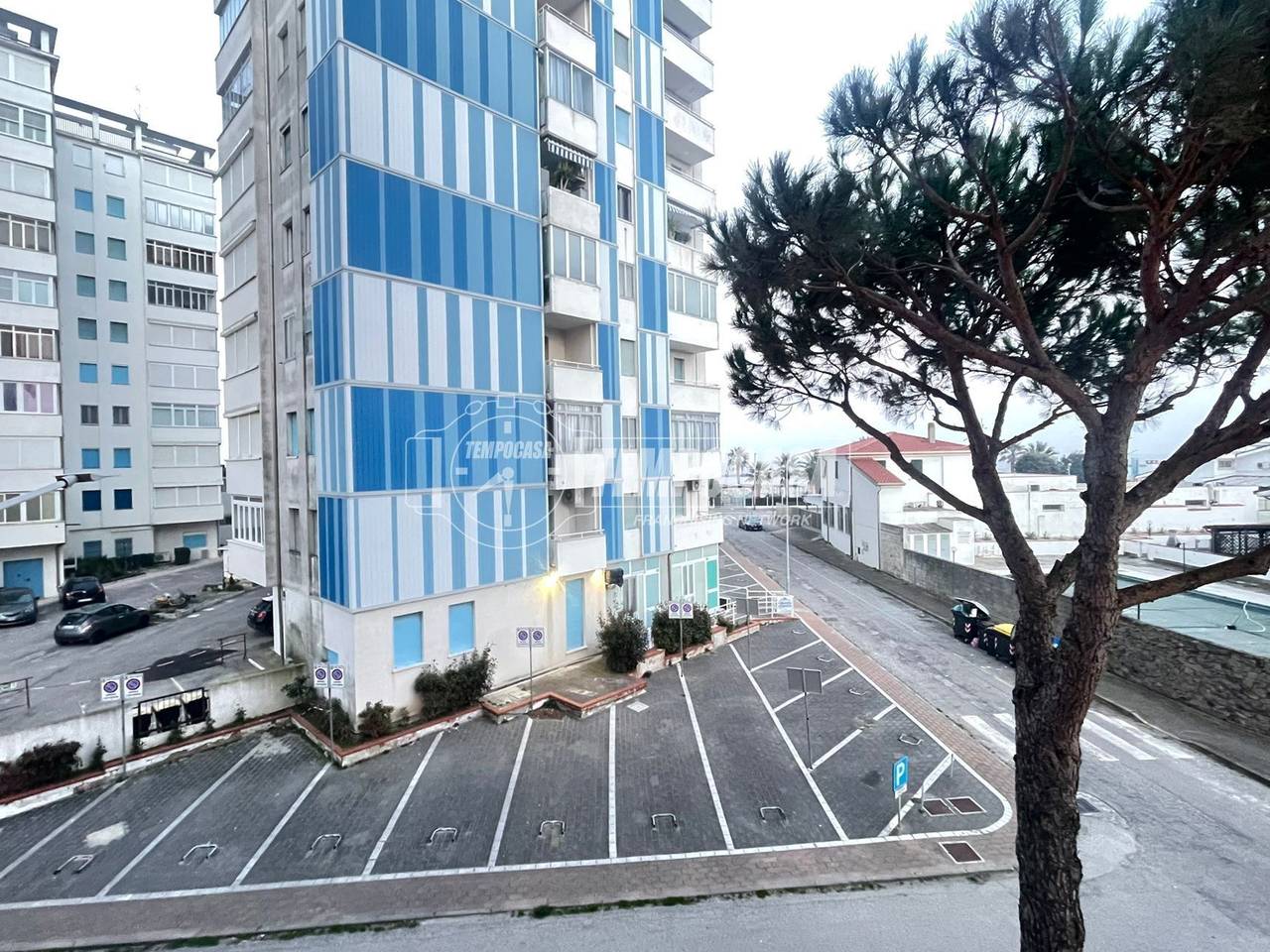 immagine annuncio 12 di 14