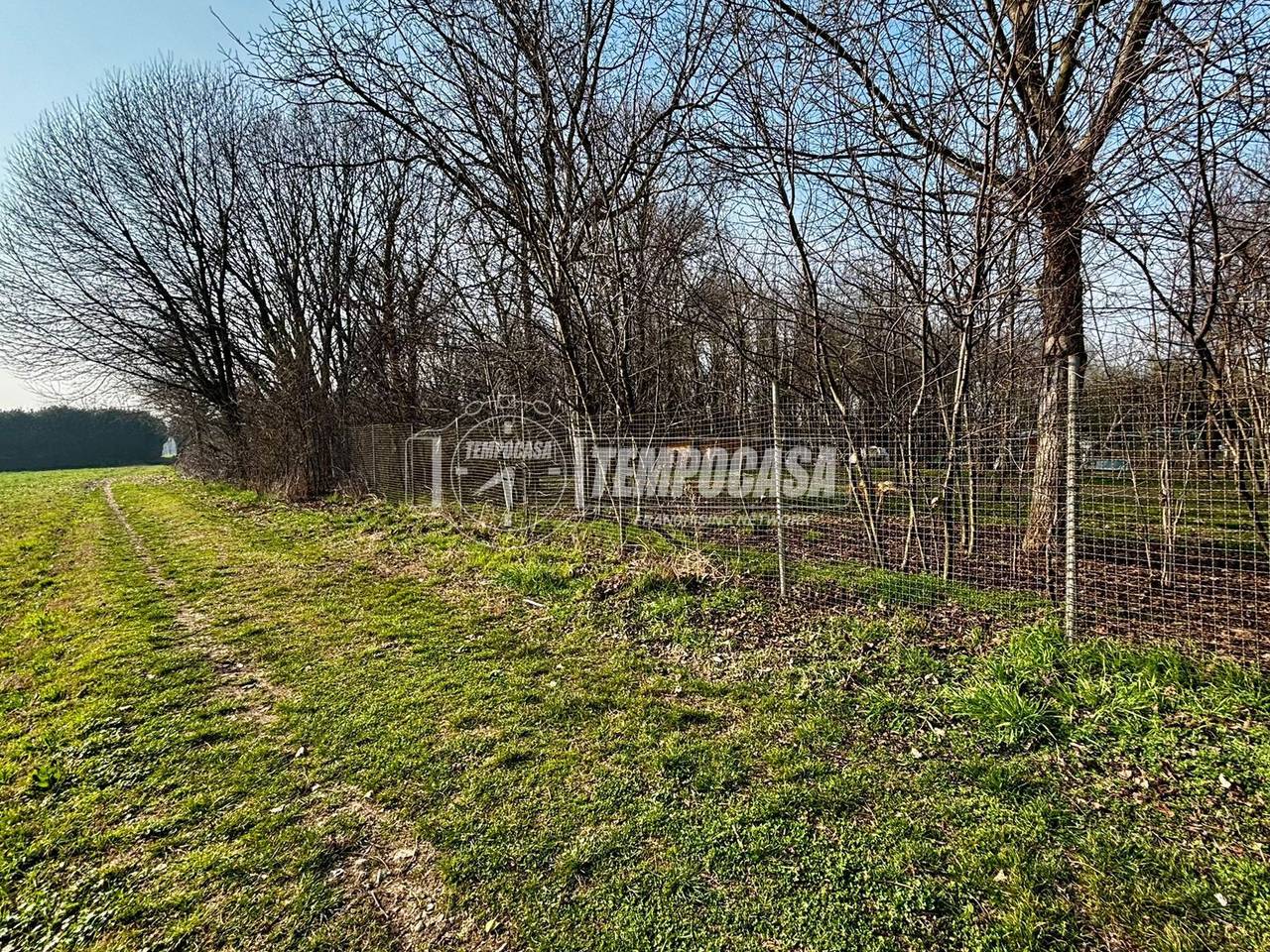 immagine annuncio 1 di 12