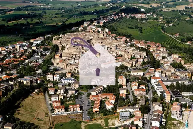 insertion image