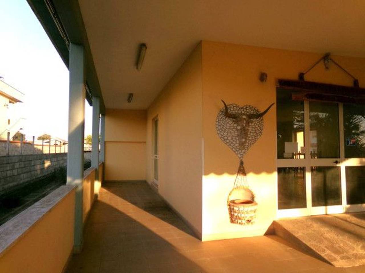 immagine annuncio 10 di 14