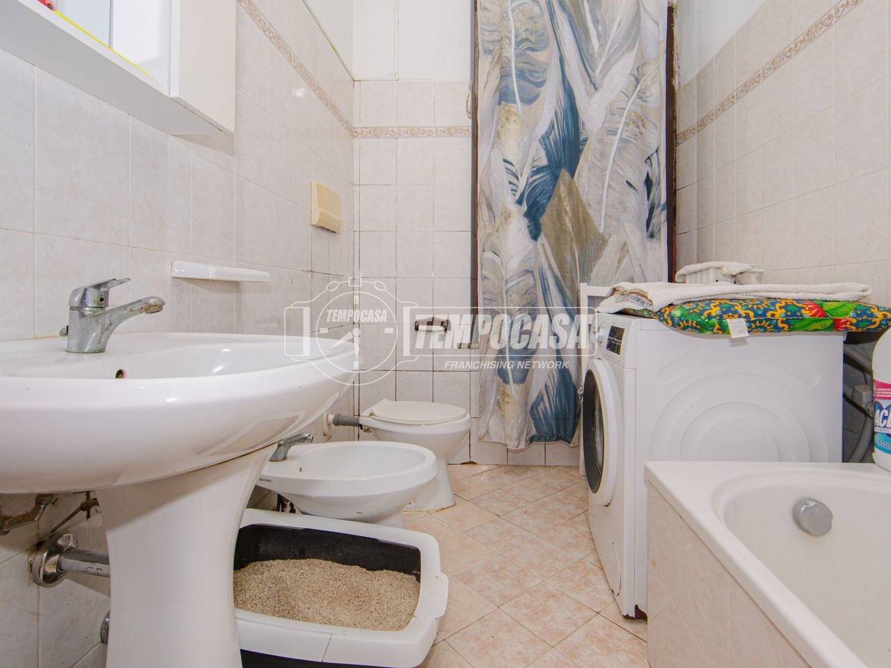 immagine annuncio 9 di 13