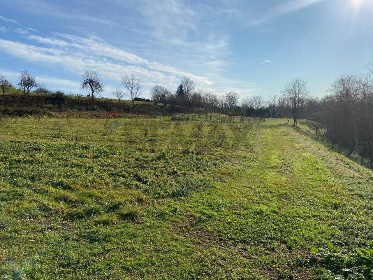 immagine annuncio 1 di 9