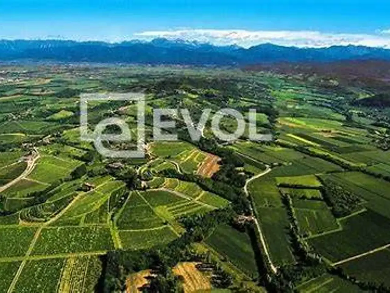 Azienda agricola in Piazza XXVII Maggio 11, Corno Di Rosazzo, {3} - Foto 1