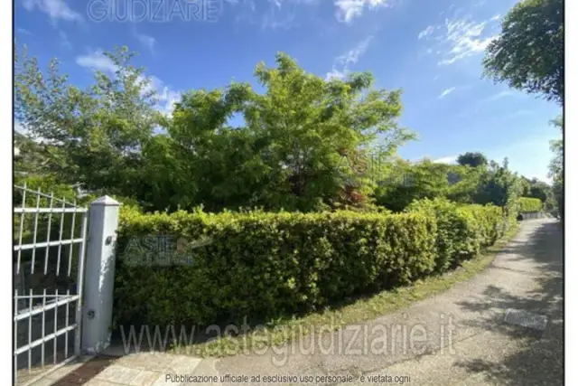 insertion image