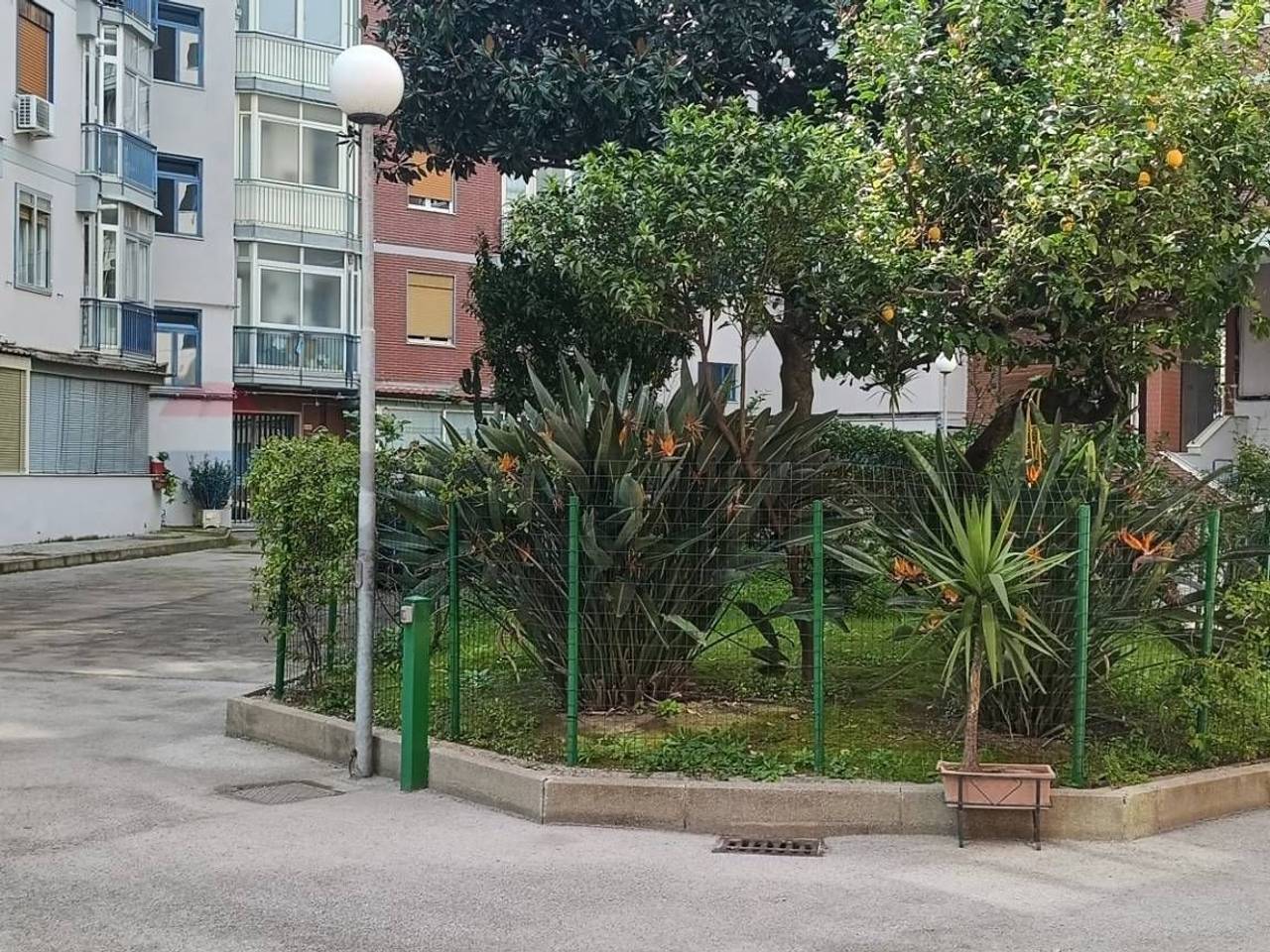 immagine annuncio 7 di 15